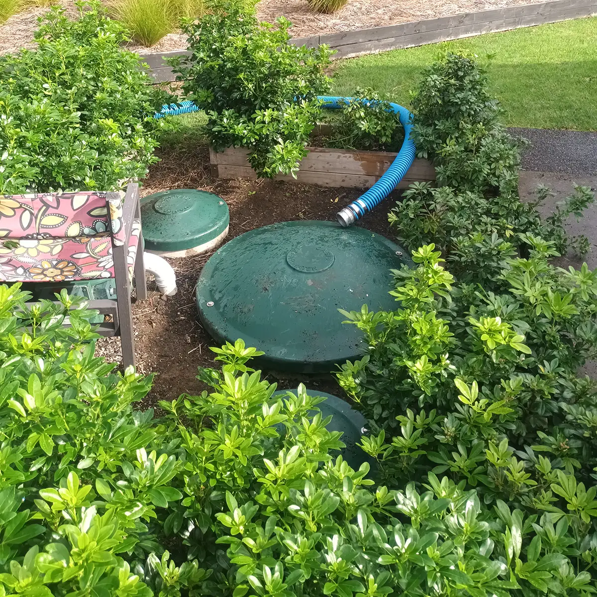 Septic tank access at a Kerikeri property
